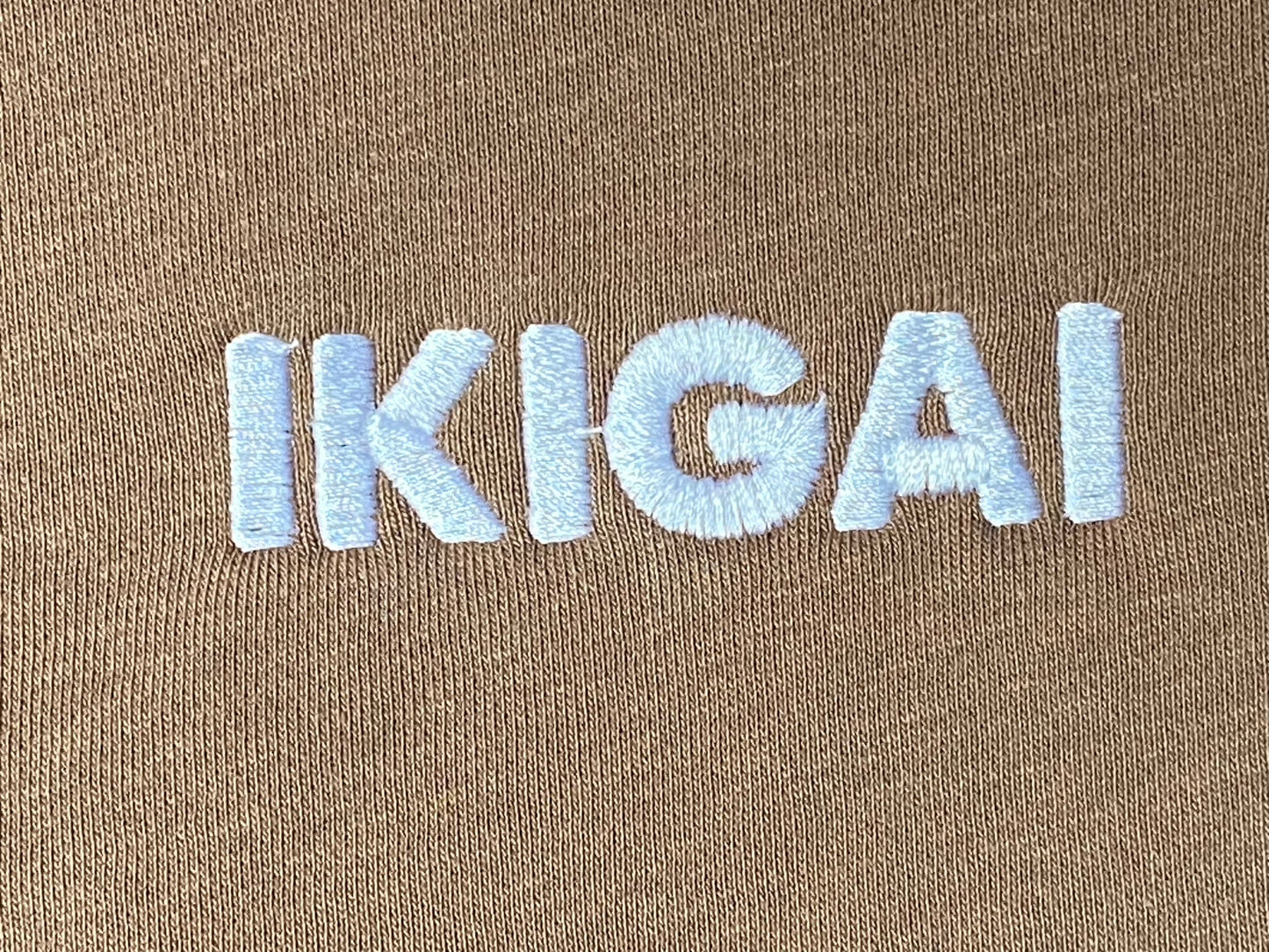 "Definition" Hoodie - Light Brown