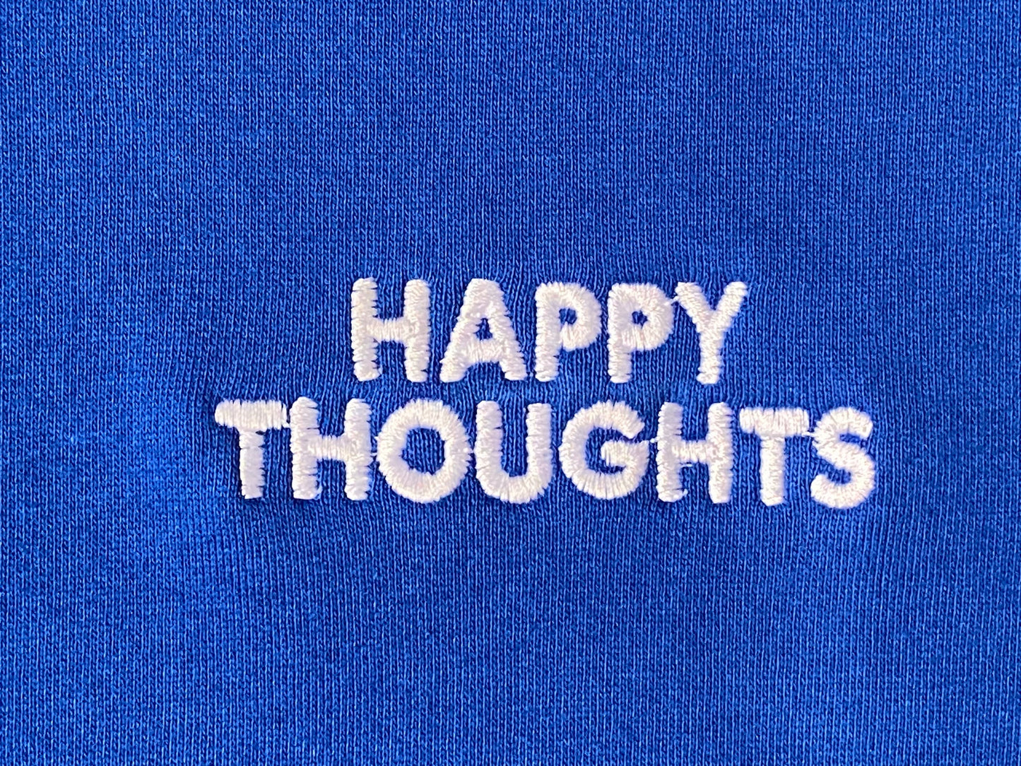 "Waste of Time" Hoodie - Blue